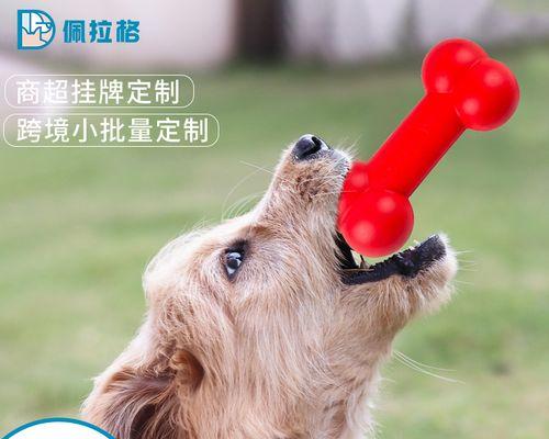 狗狗玩具的好处(让宠物更快乐、健康和聪明)(图3) 狗狗玩具的好处(让宠物更快乐、健康和聪明)(图3)