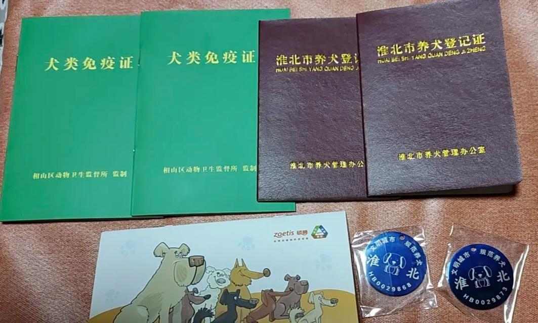 购买狗狗的必备证件及注意事项(一步步了解购买狗狗所需的证件、手续和注意事项)(图2) 购买狗狗的必备证件及注意事项(一步步了解购买狗狗所需的证件、手续和注意事项)(图2)