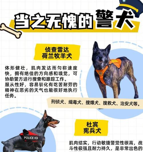 狗的器官奥秘(探索狗身体内部的奥秘之旅)(图1) 狗的器官奥秘(探索狗身体内部的奥秘之旅)(图1)