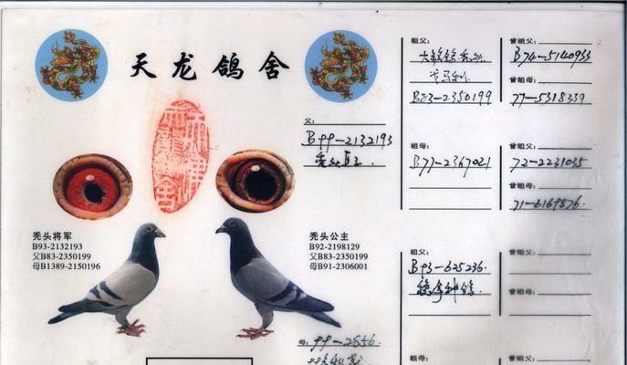 黄金血统的意义与特征(探索血统中的珍贵财富)(图2) 黄金血统的意义与特征(探索血统中的珍贵财富)(图2)