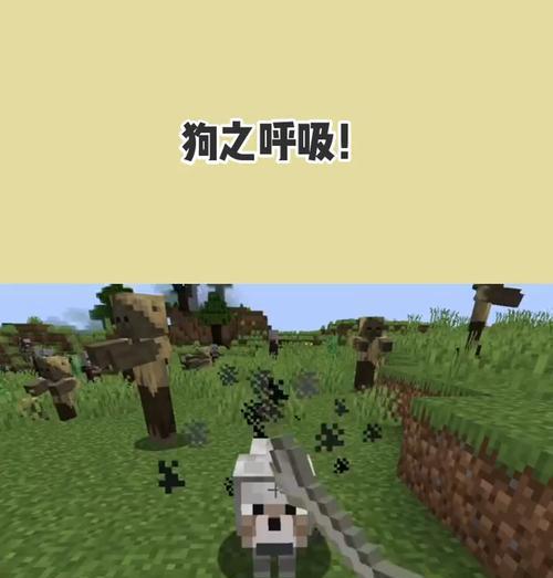 小狗喘气声音的原因(探究小狗喘气声音背后的原因和可能的健康问题)(图1) 小狗喘气声音的原因(探究小狗喘气声音背后的原因和可能的健康问题)(图1)