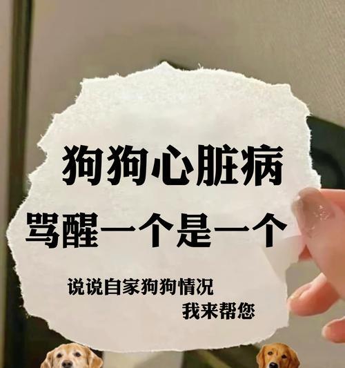 小狗喘气声音的原因(探究小狗喘气声音背后的原因和可能的健康问题)(图3) 小狗喘气声音的原因(探究小狗喘气声音背后的原因和可能的健康问题)(图3)