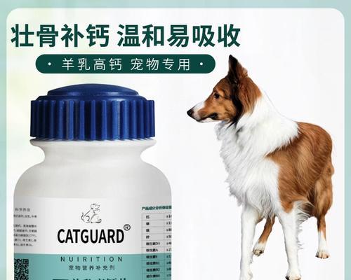 苏牧与喜乐蒂的差异(一探两位音乐家的个性与创作风格)(图4) 苏牧与喜乐蒂的差异(一探两位音乐家的个性与创作风格)(图4)