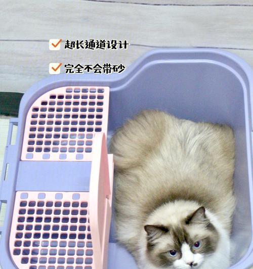 选择适合纸砂的猫砂盆,让猫咪的生活更舒适(探索纸砂猫砂盆的特点和如何为猫咪选择最佳选项)(图2) 选择适合纸砂的猫砂盆,让猫咪的生活更舒适(探索纸砂猫砂盆的特点和如何为猫咪选择最佳选项)(图2)
