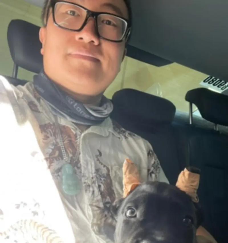 以养卡斯罗还可以养什么犬?(探索适合与卡斯罗相处的其他犬种)(图2) 以养卡斯罗还可以养什么犬?(探索适合与卡斯罗相处的其他犬种)(图2)