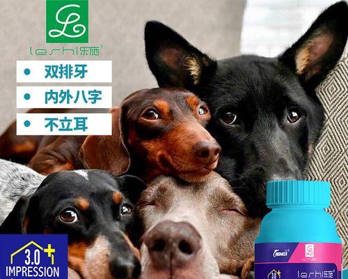 如何选择适合博美的钙片？（了解博美需要的