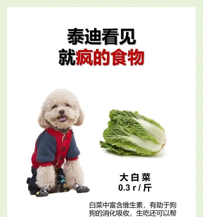 两个月大的比熊的适宜食物及喂养要点(探讨两个月大比熊的饮食习惯、营养需求及健康成长)(图2) 两个月大的比熊的适宜食物及喂养要点(探讨两个月大比熊的饮食习惯、营养需求及健康成长)(图2)