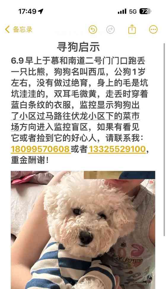 寻找一只好听的以公比熊名字(如何为你的可爱宠物选择一个独特的名字)(图4) 寻找一只好听的以公比熊名字(如何为你的可爱宠物选择一个独特的名字)(图4)