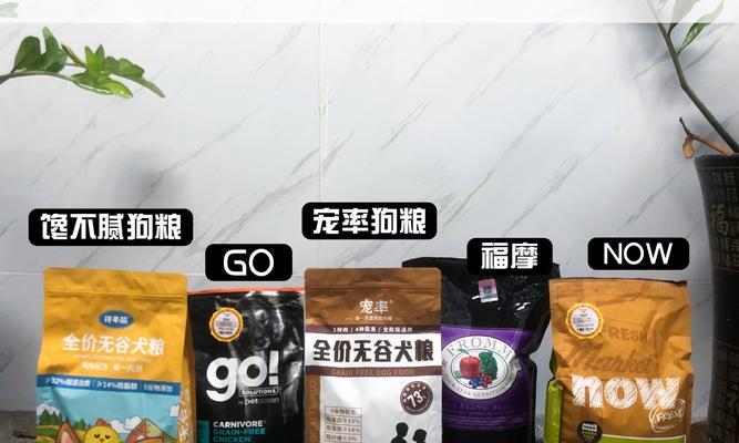 柯基毛为什么会变黄?(探究柯基毛变黄的原因及预防方法)(图1) 柯基毛为什么会变黄?(探究柯基毛变黄的原因及预防方法)(图1)