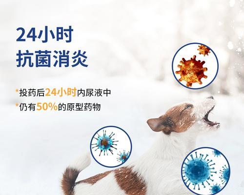 狗狗配种后咳嗽的处理方法(了解狗狗咳嗽的原因和合适的药物治疗)(图1) 狗狗配种后咳嗽的处理方法(了解狗狗咳嗽的原因和合适的药物治疗)(图1)